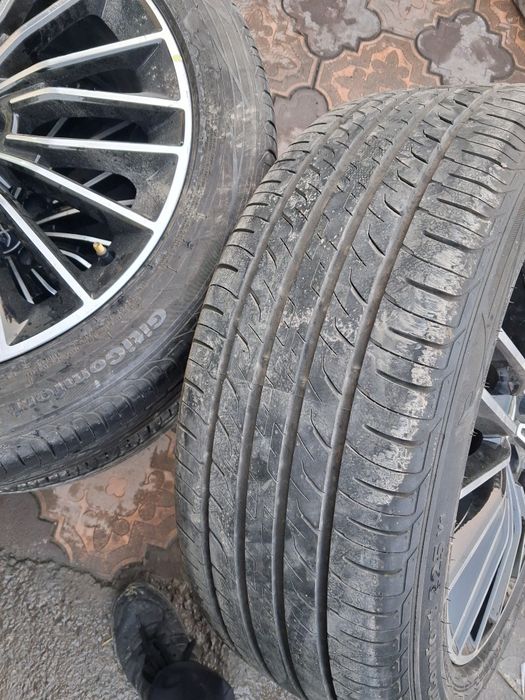 19 buvaydi han diska balon