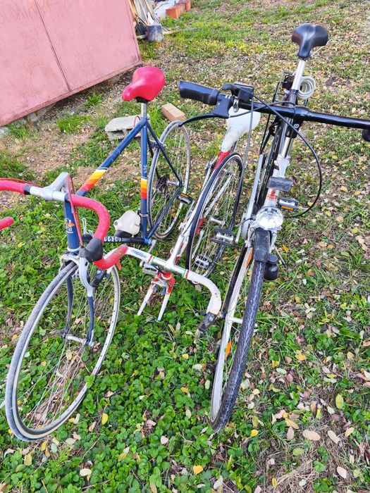 Cursiera Peugeot și Bachmann, Raleigh de oras