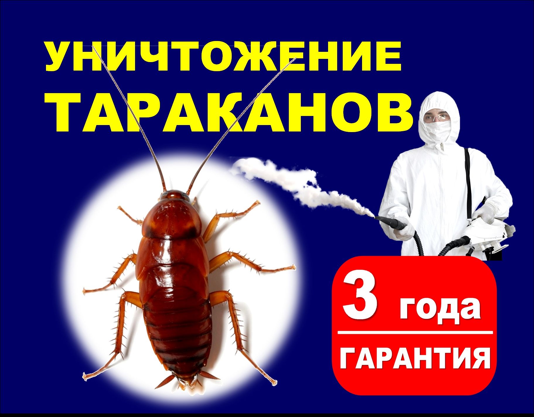 Тараканы Тарақан  дезинфекция уничтожение