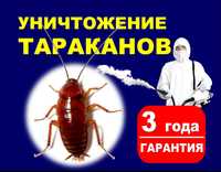Тараканы, Тарақан, дезинфекция, уничтожение, Гарантия на 3 года,