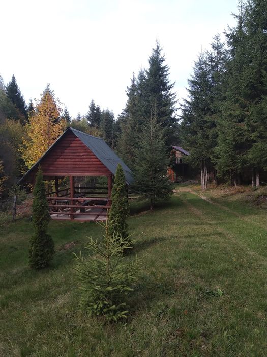 Teren și cabana de vanzare in Muntii Apuseni.