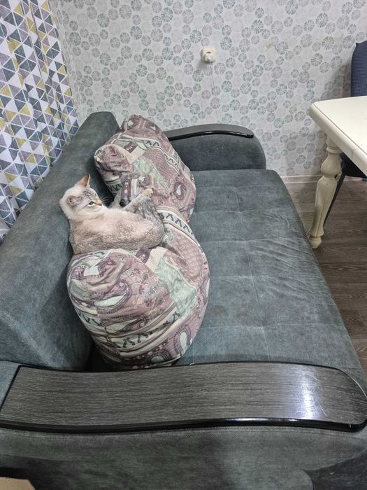 Диван и две подкшки