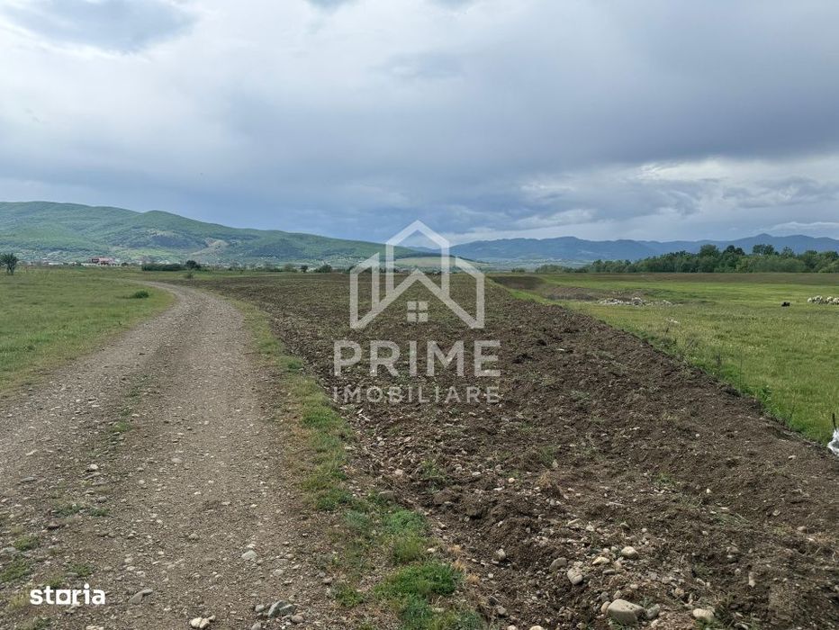 Teren extravilan de vanzare in Barabant, 5000 mp.