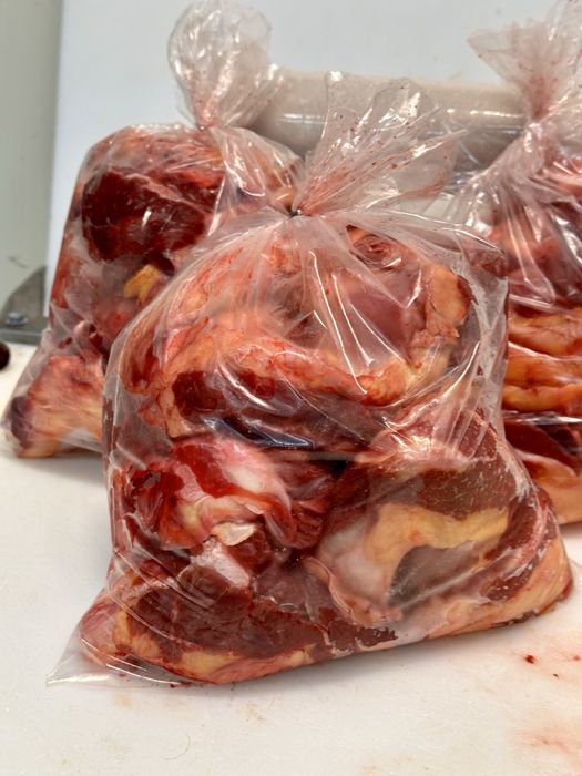 Hrana Câini Proteică | Carne de cal | Hrană crudă |