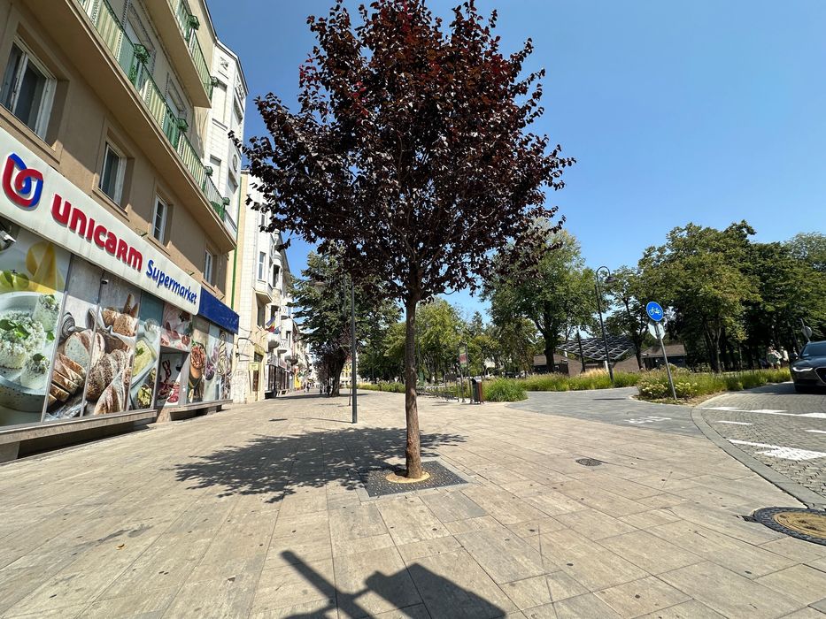 Apartament de inchiriat NOU PRIMA INCHIRIERE CENTRU