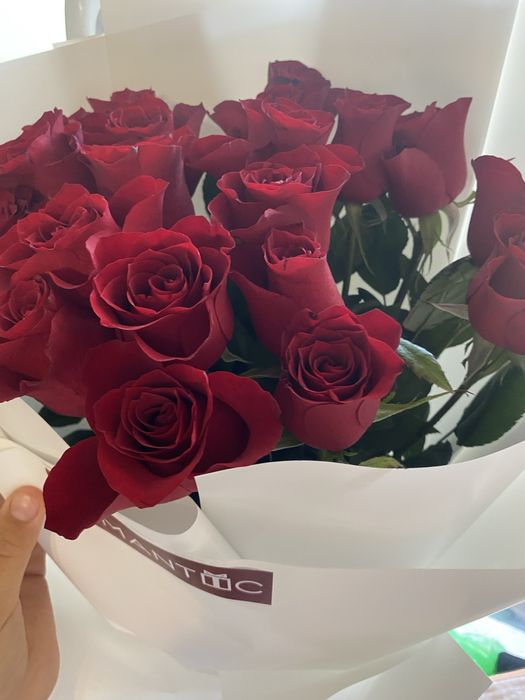 Продаю свежый розу 21