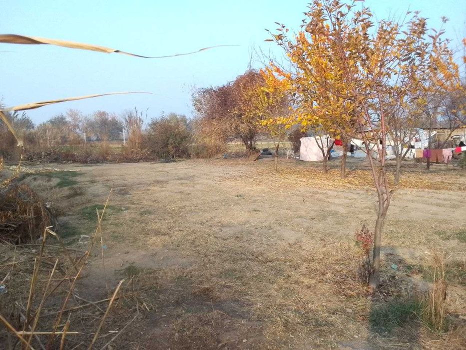 Уи сотилади Йангиол тумани аринтир Михалибка