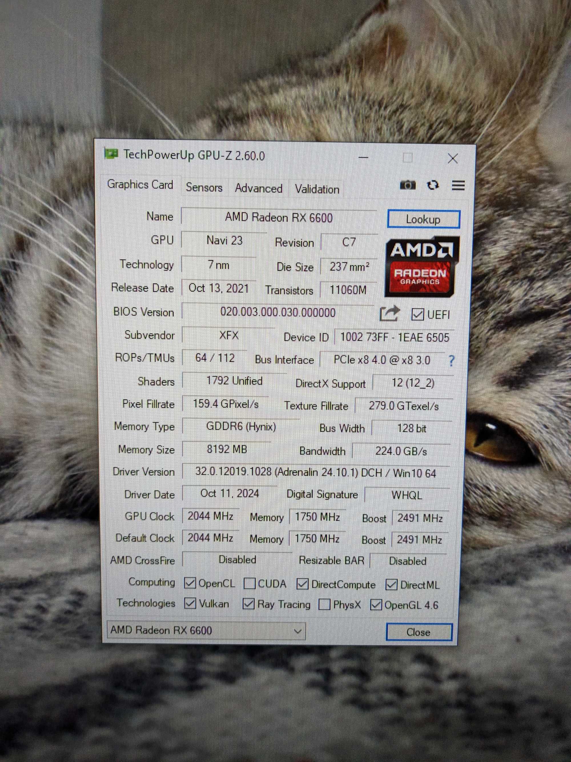XFX RX 6600 8Gb DDR6