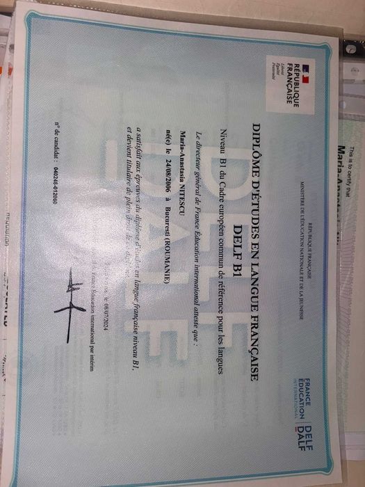 Ofer suport academic,teme,lucrari,.traduceri, la un pret generos