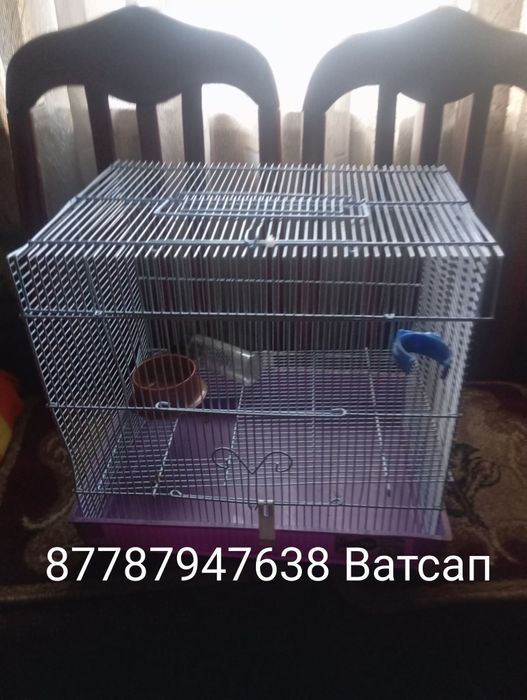 Продажа клетки в нормальном состоянии пишите