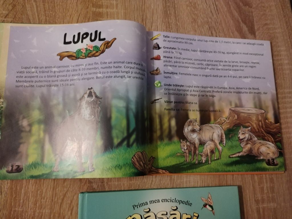 Cărți Animale, Păsări copii