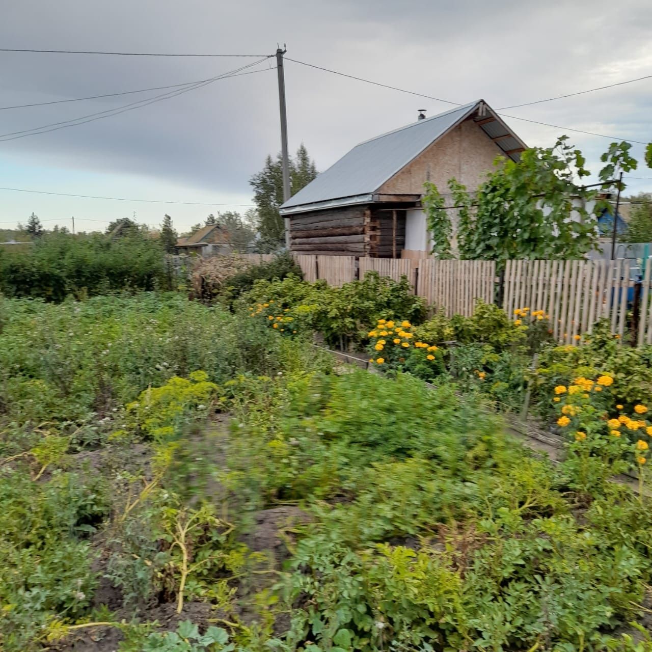 Продам дачу сообщество Комета