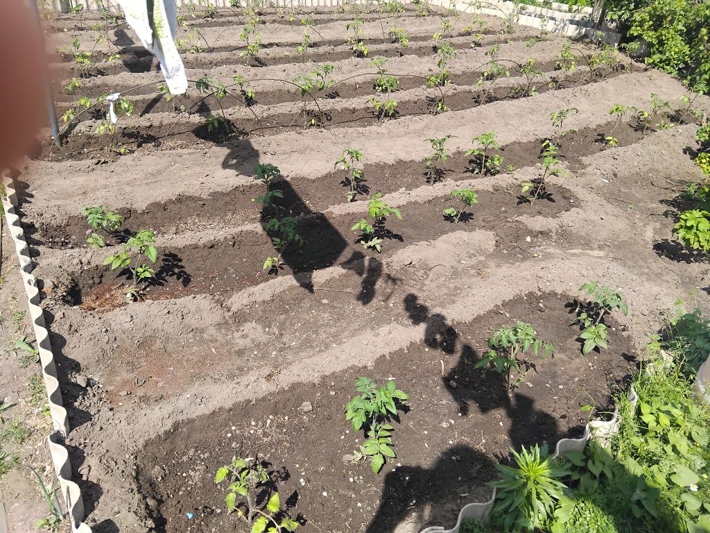 Продам       дом