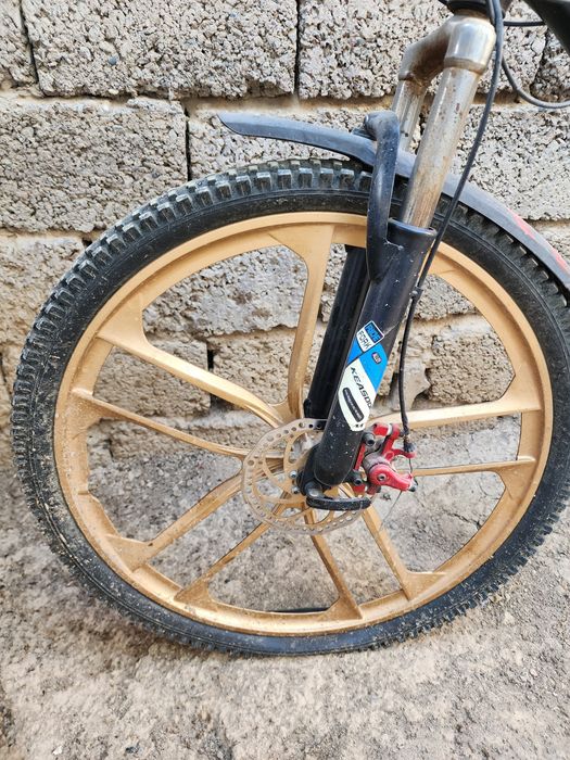 Velosapet model Sport KEASDON Blue
