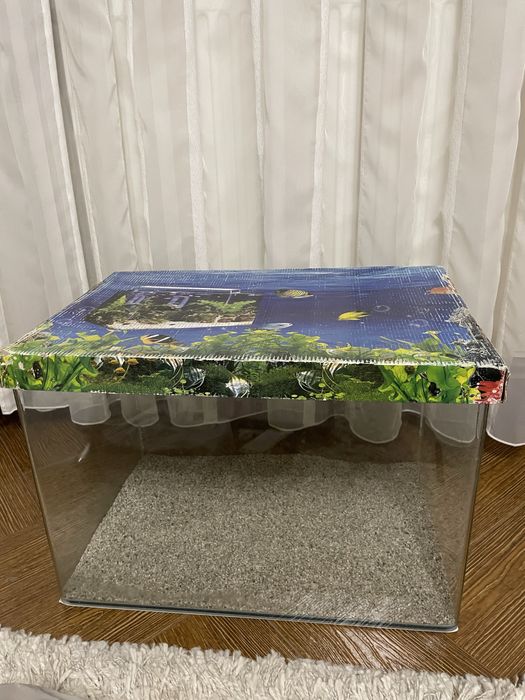 Acvariu broasca testoasa