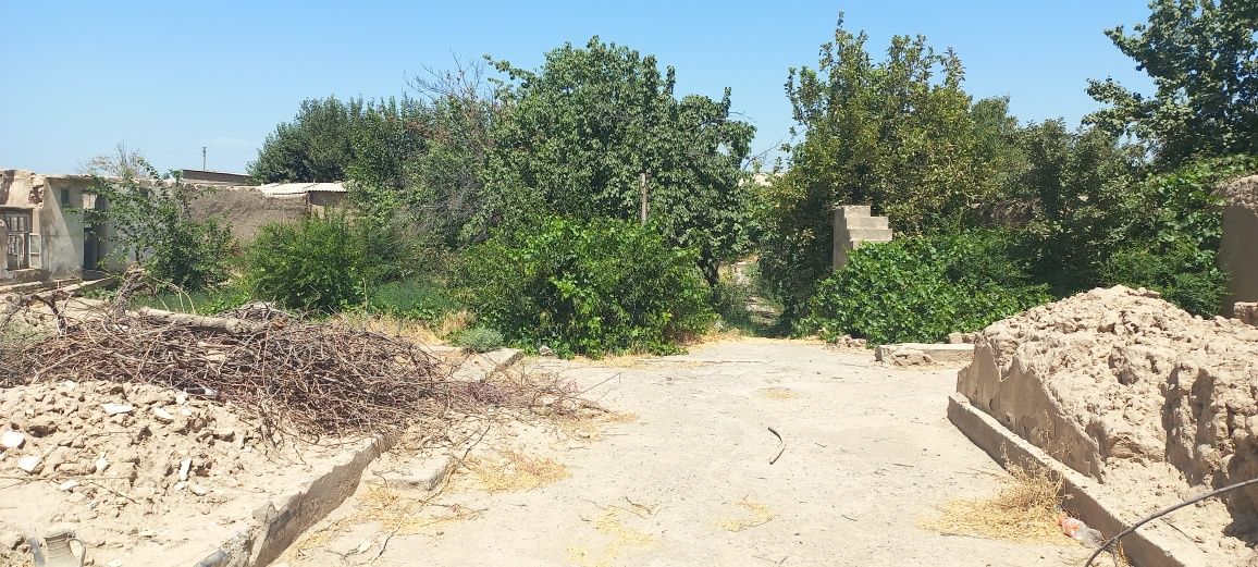 Ховли сотилади 25×55 м²