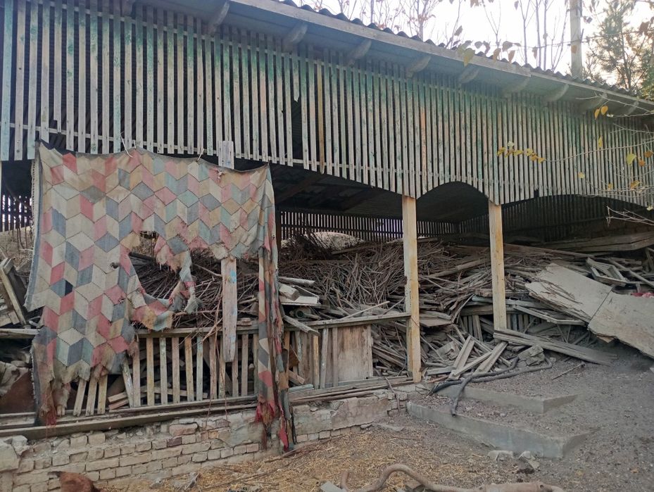 Sssr taxtalari gozapoya daraxtlar sotiladi srochno