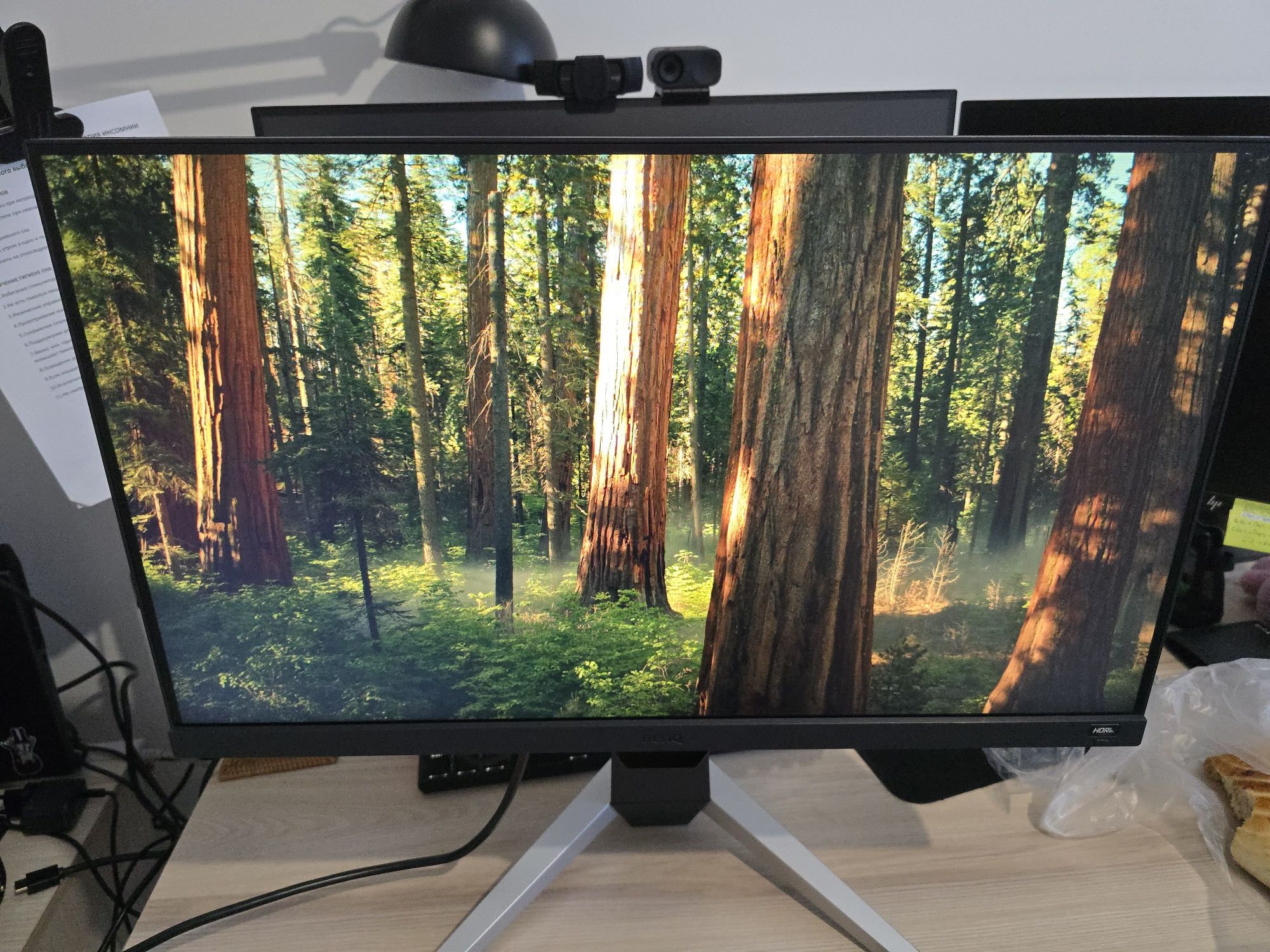 Монитор 24,5" BenQ EX2510 IPS 144Гц игровой