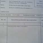 Vand Triciclu electric EL RDB