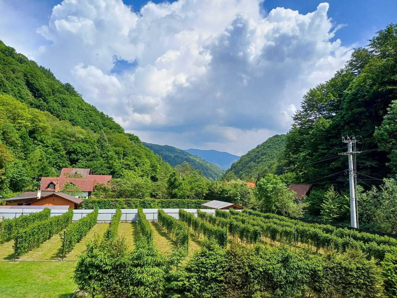 Cabana de inchiriat - Pensiunea la Toderica