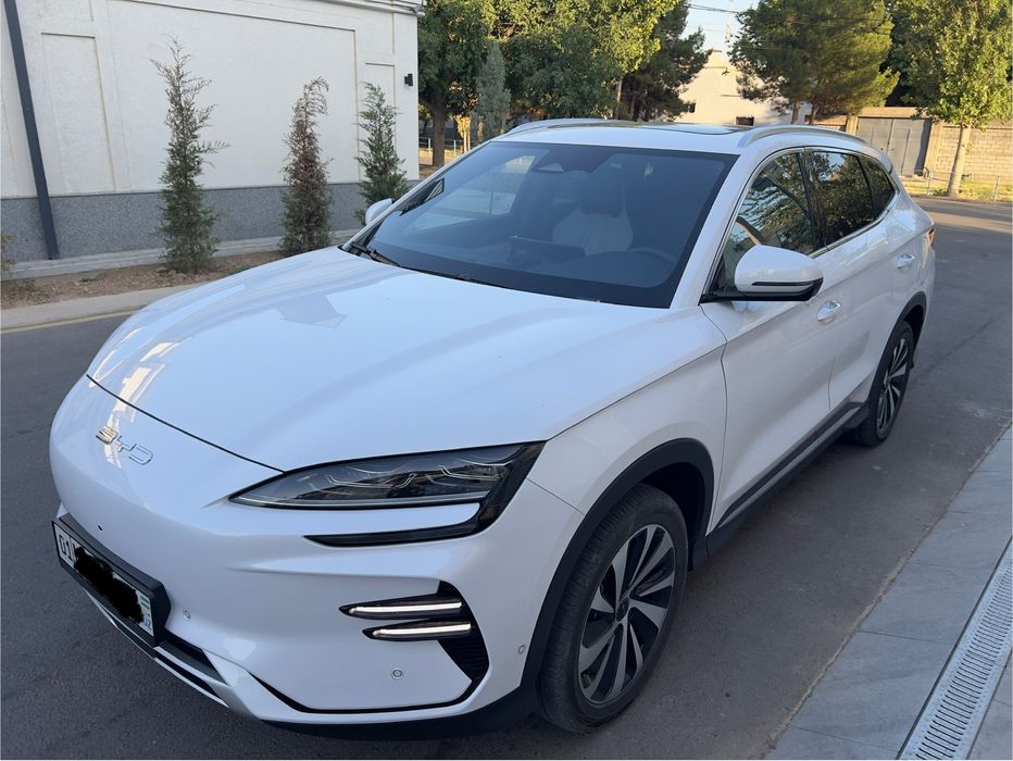 Эгасидан Byd Champion Honor  EV 605km 25900$