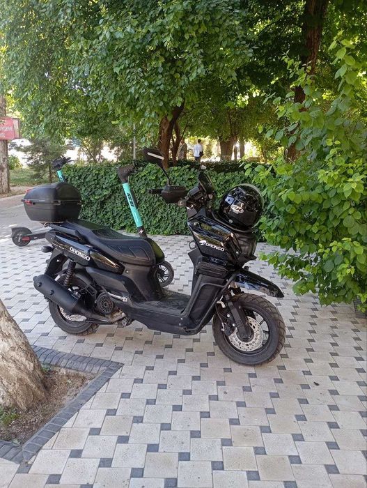 Продается Drongo 2025