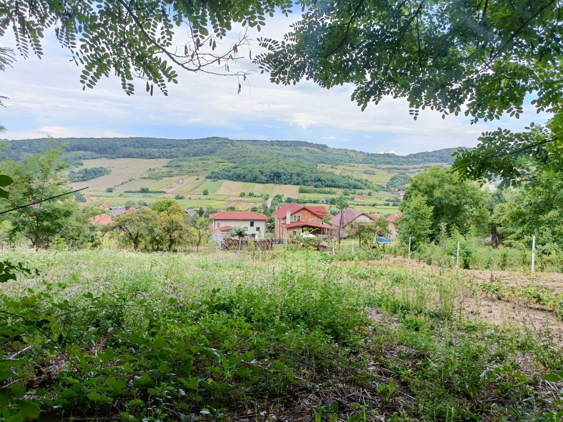 Teren intravilan în  Panic