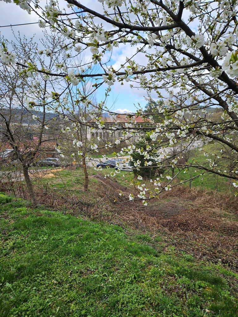 Продава се Парцел в Плачковци - 800 кв.м за 19 €/кв.м - Снимка #6