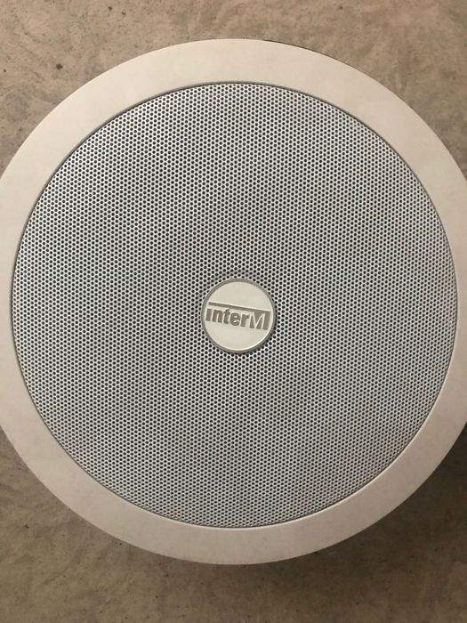 Потолочный динамик