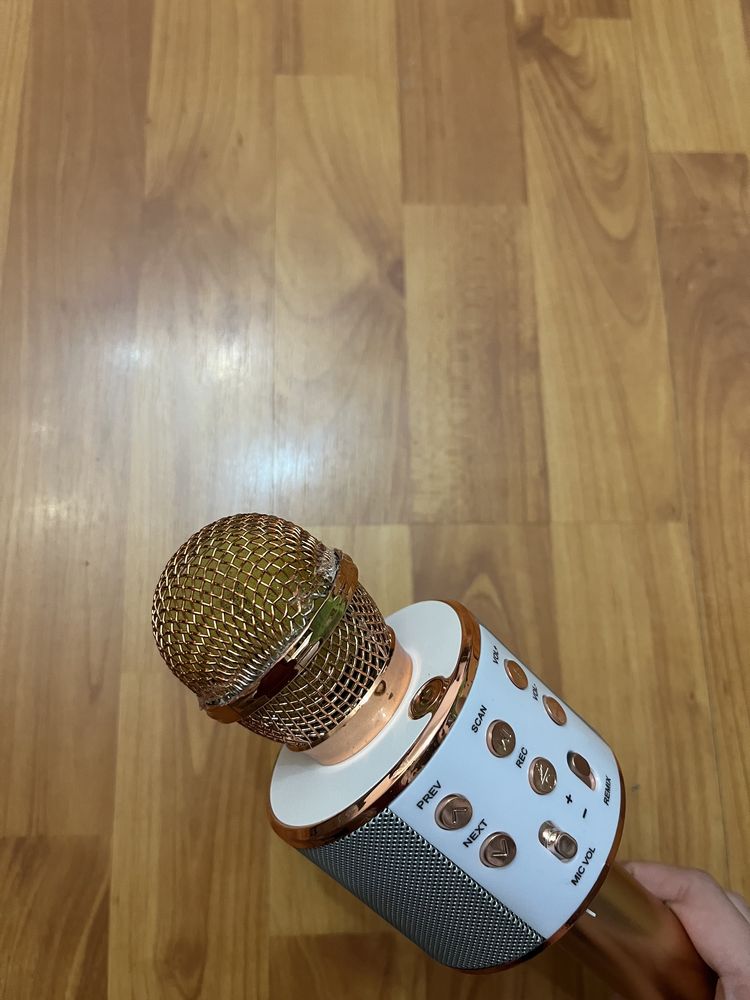 Vând Microfon Auriu