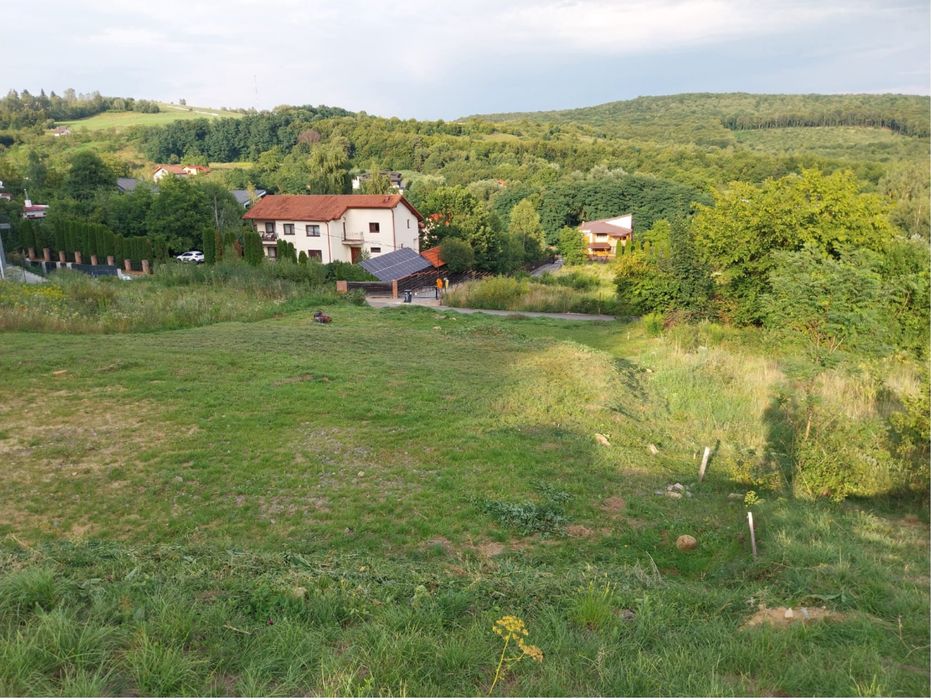 Teren de vanzare Valea Capriorii Cluj /Feleacu