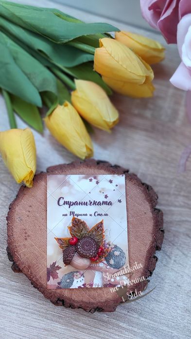 Брошки от полимерна глина