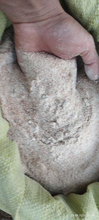 Buğdoy yormasi yem Mol qõylar uchun 3200 sõm kg