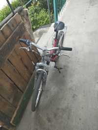 Bicicleta optimalp