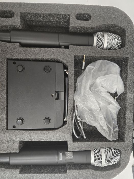 Два микрофона LAudio