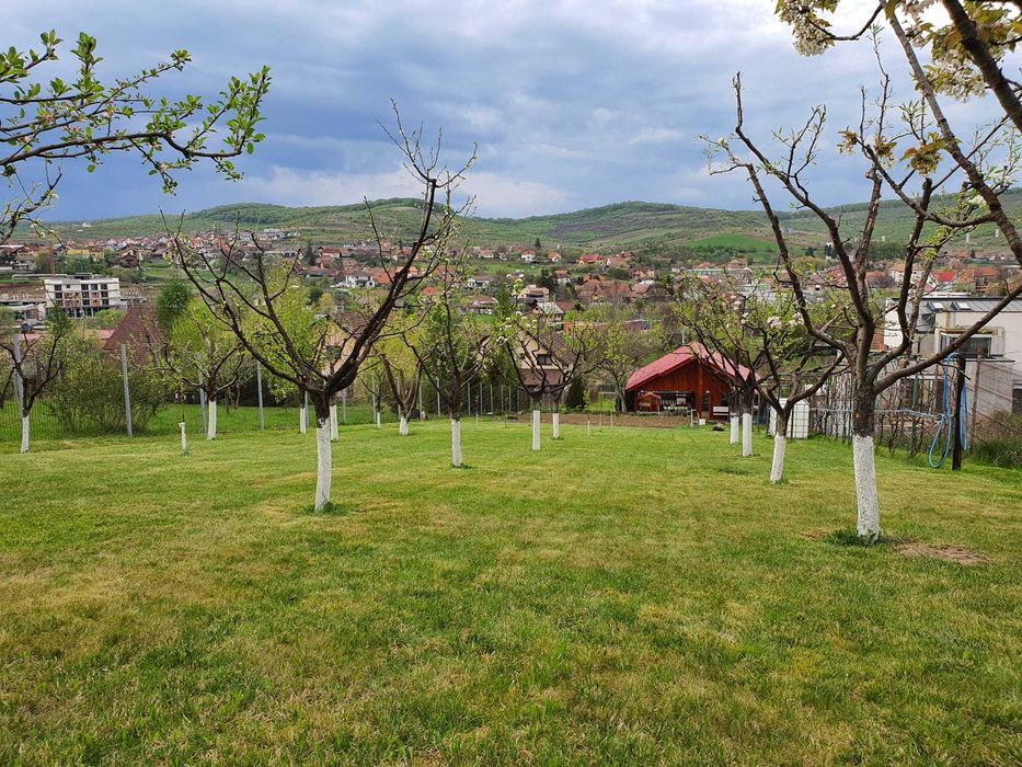 Teren cu AUTORIZATIE constructie casa plus CABANA LIVEZENI, 1824 MP