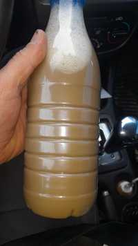 Шрот подсолнечный масло фасфатиды жирные кислоты саобсток фуз
