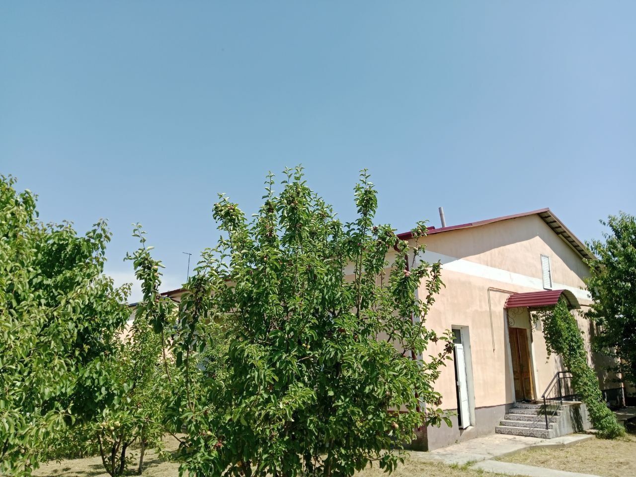 Arenda kotej foodstiy bozor