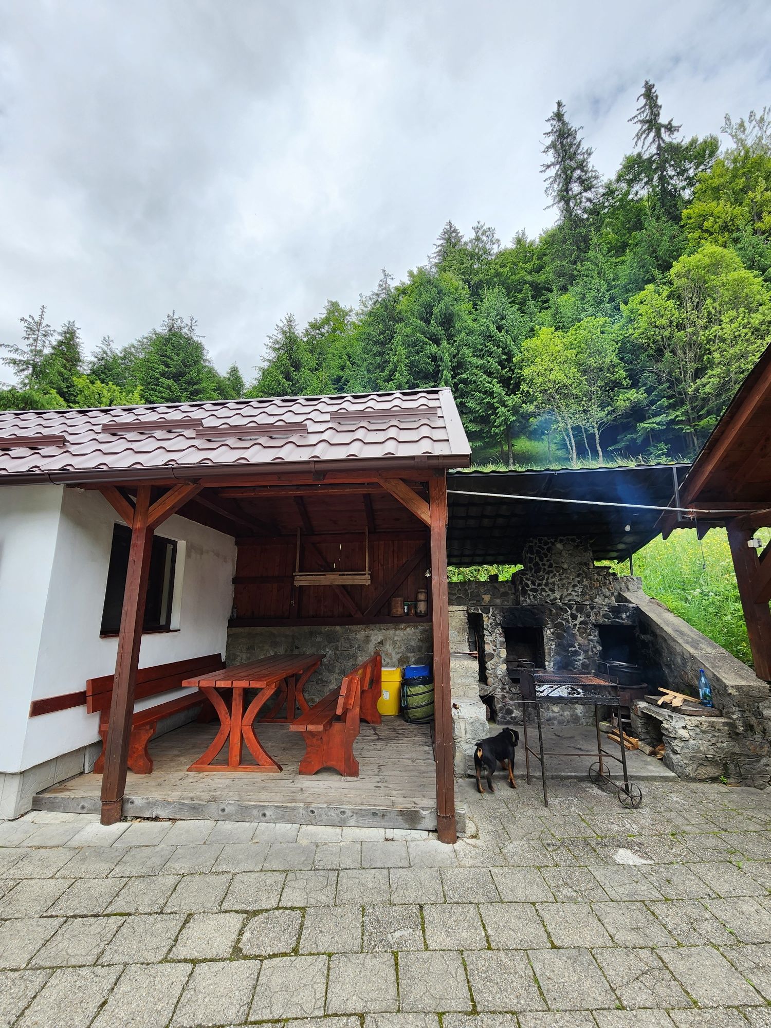 Inchiriez cabana la munte, in satul Rachitele(Pensiunea Susman)