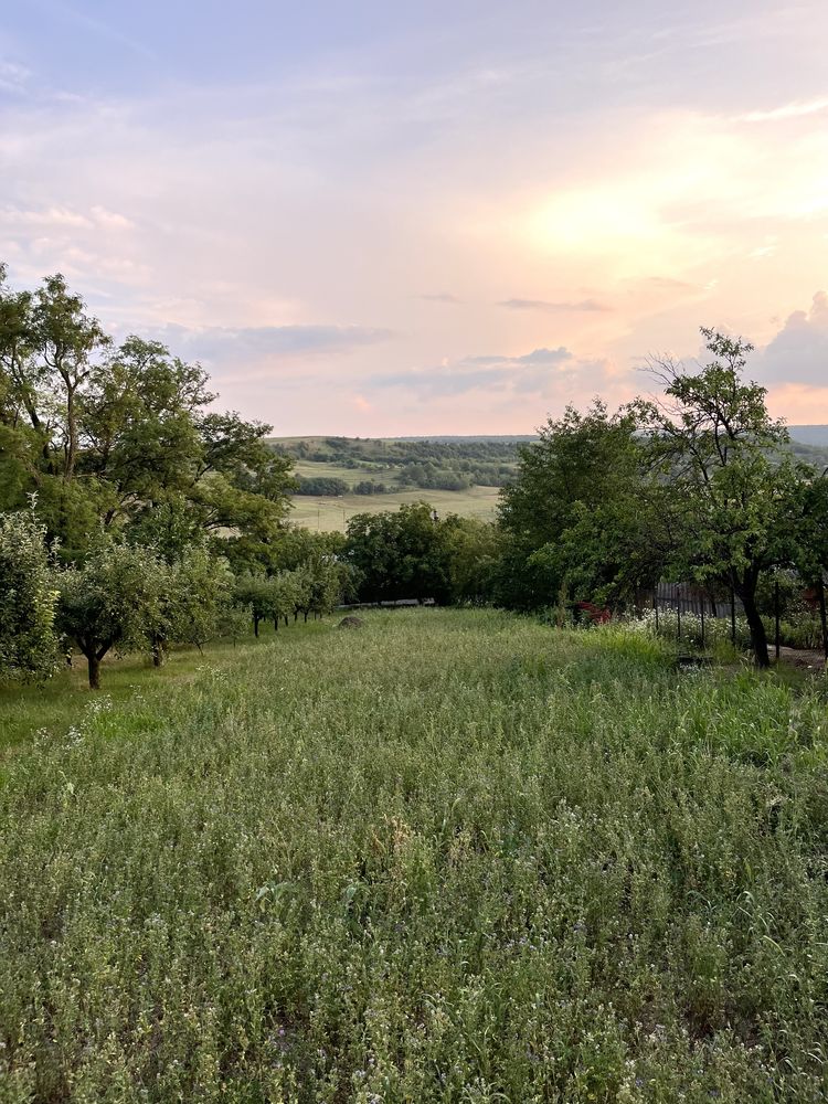 Manolesti Intravilan