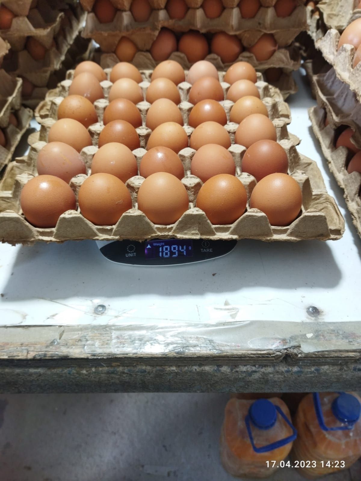 Продам яйцо всех категорий,  несортированное,  загрязненное,  насечка.