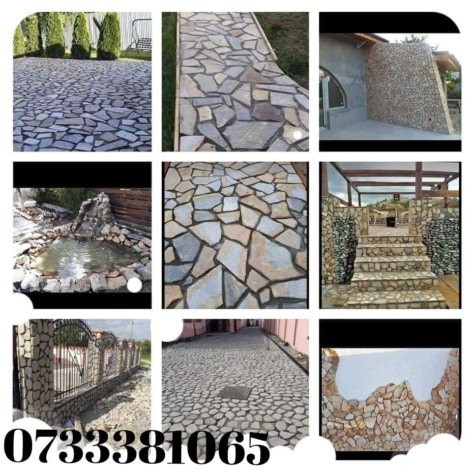 Vând plante ornamentale oriunde în țară execut grătare cascade cu tot
