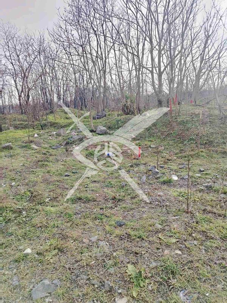 Продава се Парцел в Созопол - 2644 кв.м за 52 €/кв.м - Снимка #5