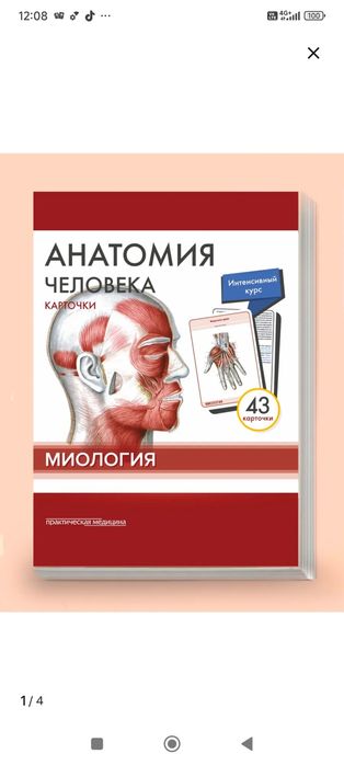 Анатомия человека миология