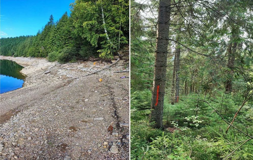 Vand Teren Balcesti/Belis cu deschidere la lacul Belis-Fantanele