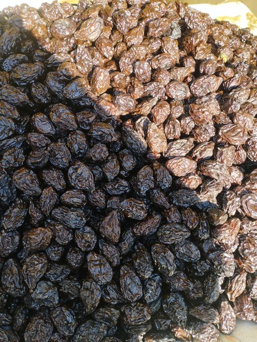 Prune uscate fără fum producție 2025 calitate superioara