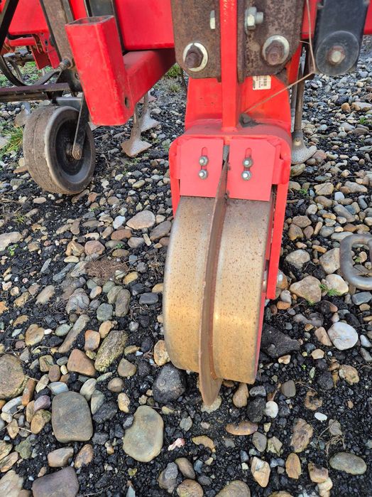 Prasitoare floare porumb