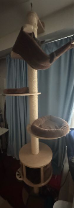 Vand turn pisici pentru apartament (inalt aprox 2,5 m)