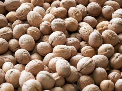 Орехи.