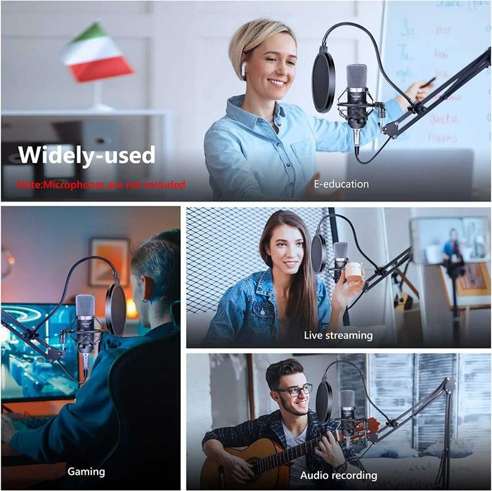 Set brat cu menghina, suport microfon studio cu cap rotativ si filtru